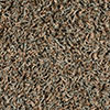 grau-beige